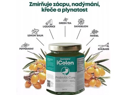 Icolon