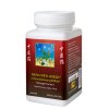 TCM Herbs Nápoj pěti hvězd z Gynostemmy pětilisté (850) 100 g