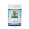 TCM Herbs Pilulka hořce (014) 100 tablet