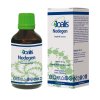 Joalis Nodegen PAND 50 ml