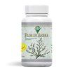 OroVerde - Flor de Arena 350mg 100 kapsúl