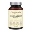 Chaganela Chaga a reishi