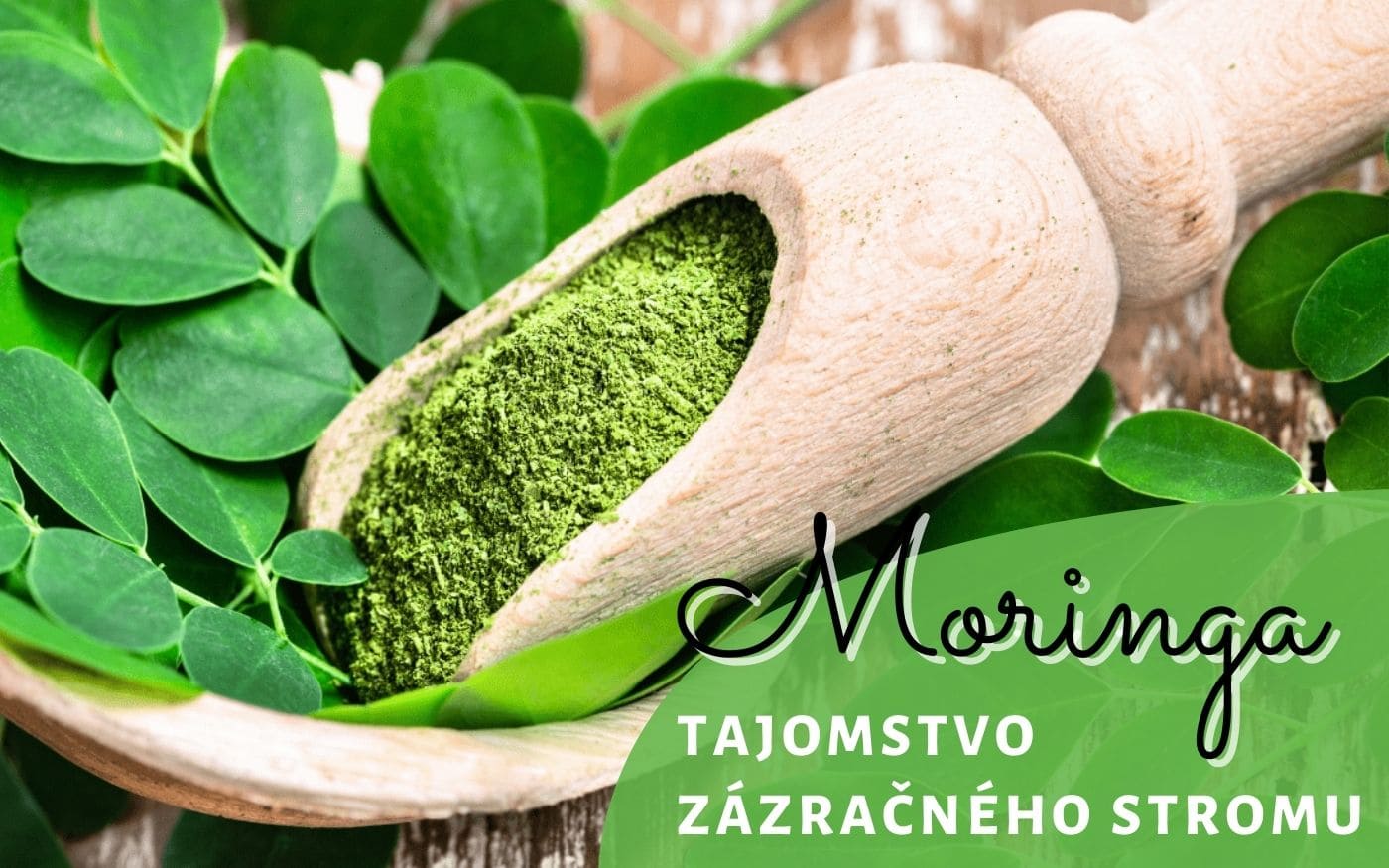 Moringa - tajomstvo zázračného stromu