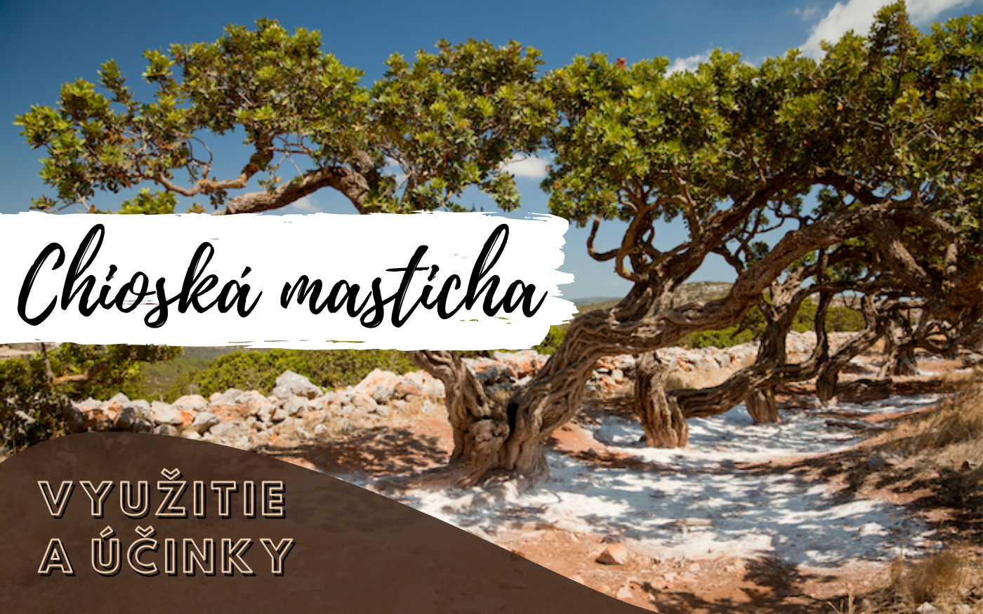 Chioská masticha - využitie a účinky