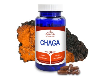 chaga1