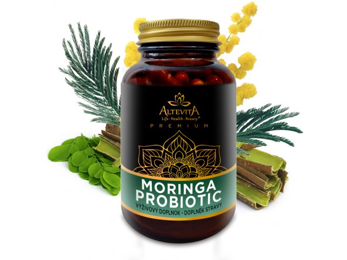 moringa probio