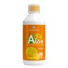aloe zenzero