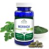 moringa2