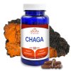 chaga1