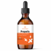 propolis