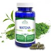 matcha2