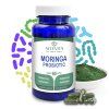 moringa probio1