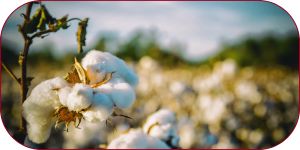 Z jakých materiálů jsou látkové vložky Alucha®