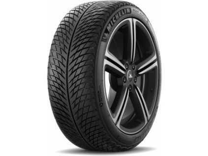 265/35 R 21 101V PILOT_ALPIN_5 TL XL M+S 3PMSF FP MICHELIN