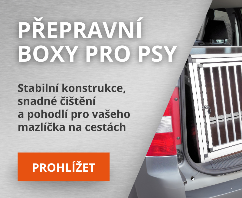 Boxy pro psy