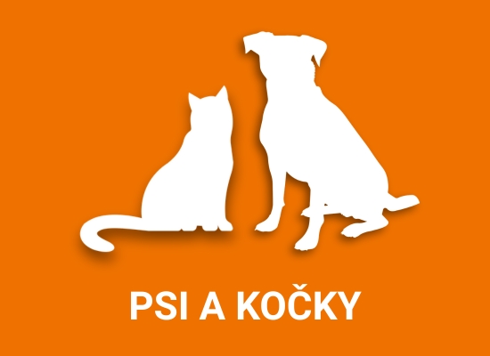 Psi a kočky