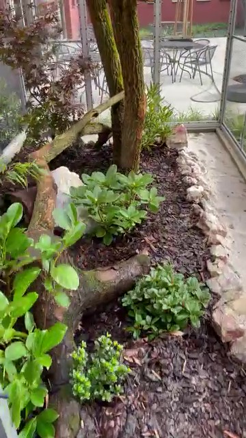 Náhled videa – voliera