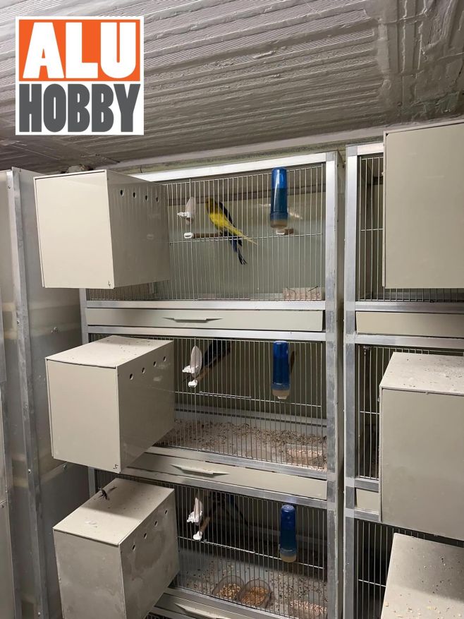 Klece z profilu od Aluhobby. Vlastní tvorba našeho zákazníka z Prahy. Pěkné co říkáte? 🦜✨👍🔧 #papousci #chovpapousku...