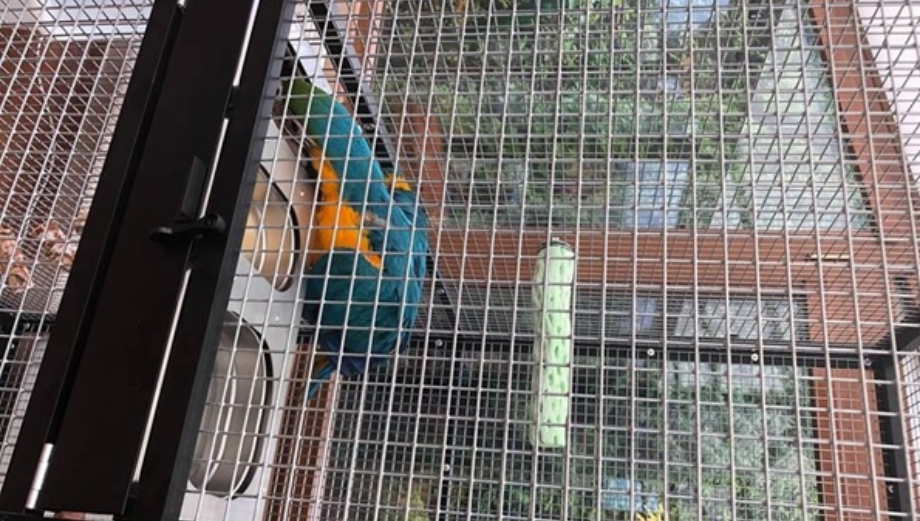 Zapewnij swoim papugom tylko najprzyjemniejszą przestrzeń życiową.