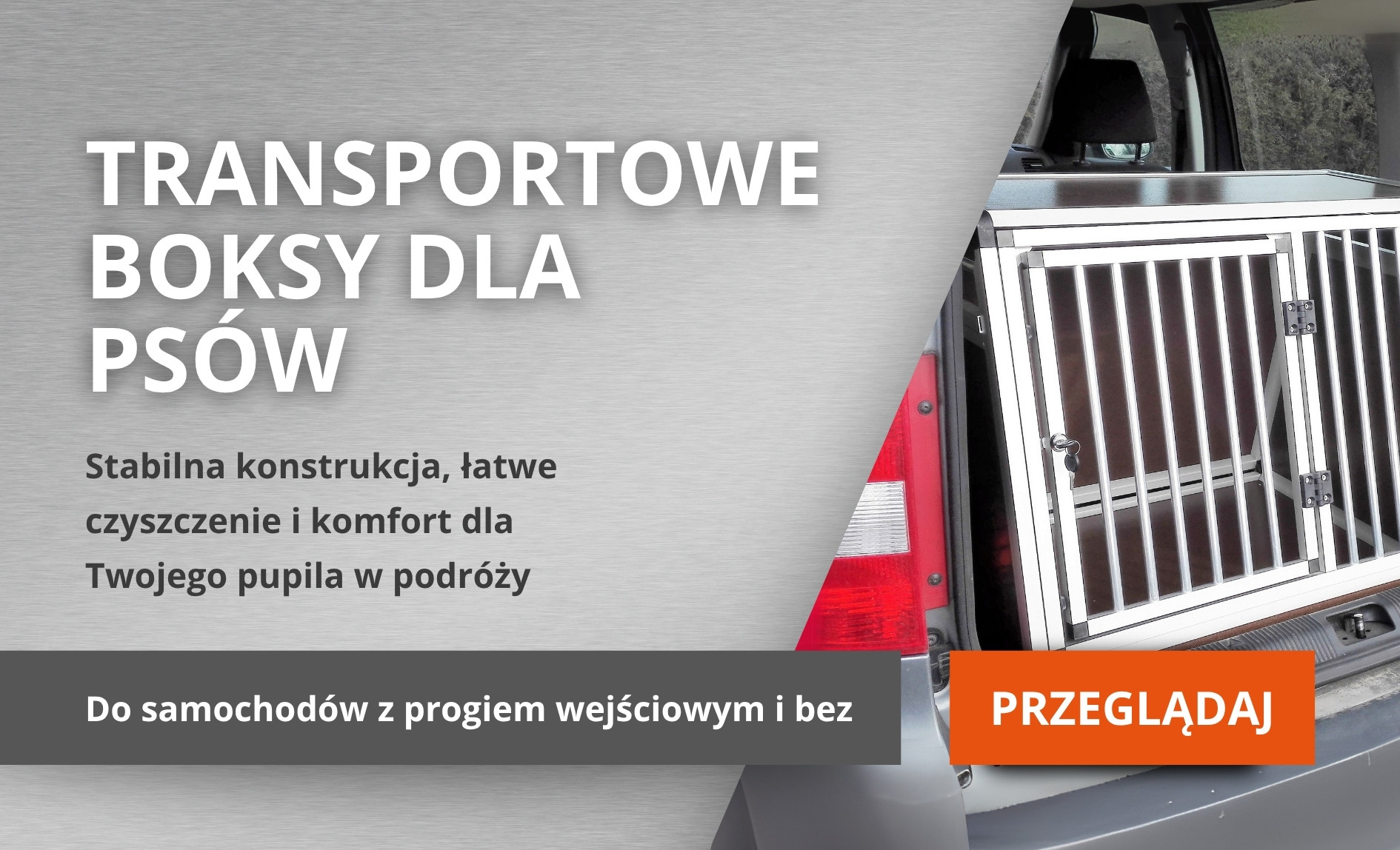 Boxy pro psy