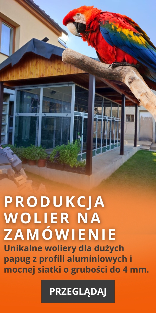 Produkcja wolier na zamówienie