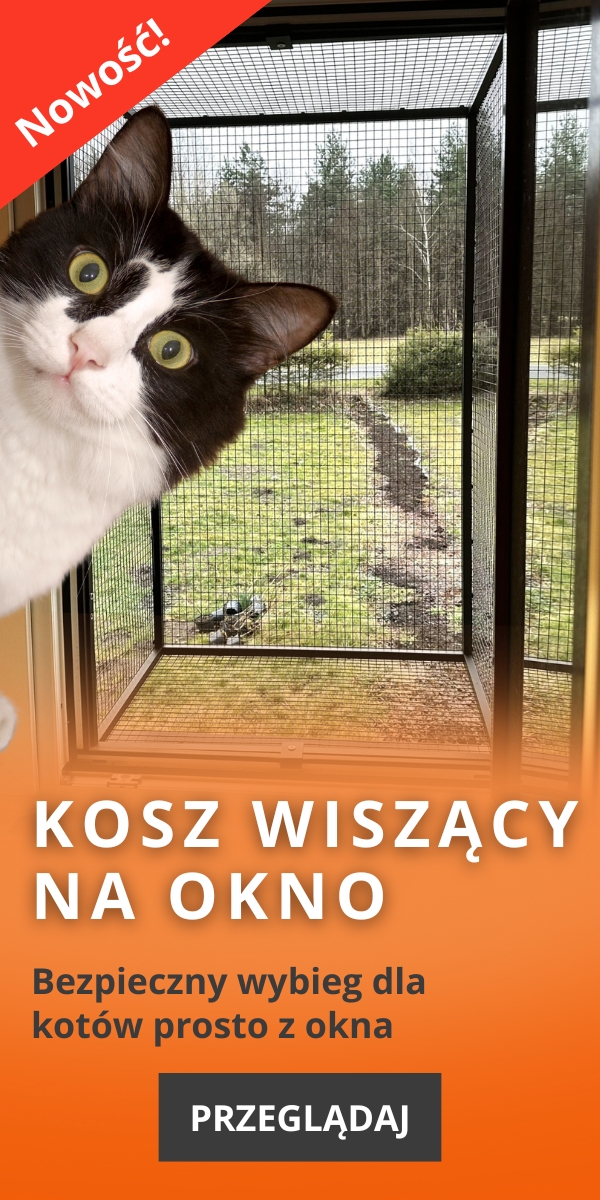 Kosz wiszący na okno