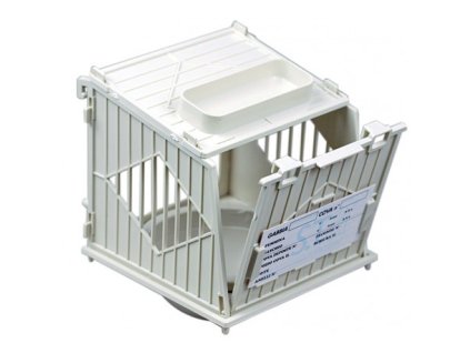 2614 male hnizdo n002