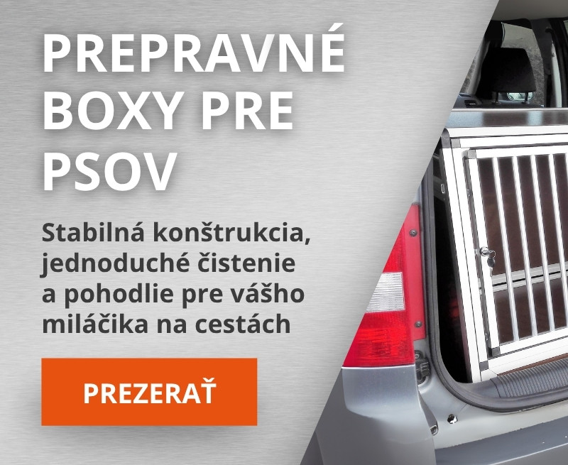Boxy pro psy