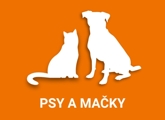 Prepravné boxy pre psov