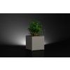 Modern Planter Boxes Outdoor