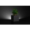 Aluminium Black Planter Box