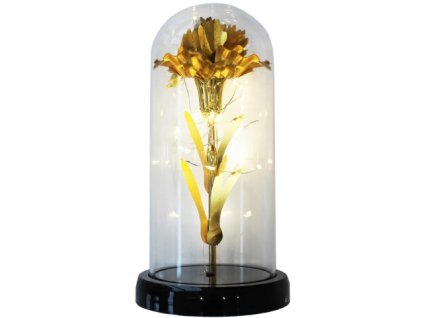 d5562d893e9f1c12c85f75fedce4a7fb