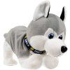 isod trade pi4477 interaktivni husky 4477