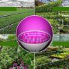 led lampa pre rast rastlin 30 w 200 d (12) 850x850