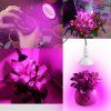led lampa pre rast rastlin 30 w 200 d (3) 850x850