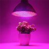 led lampa pre rast rastlin 30 w 200 d (6) 850x850