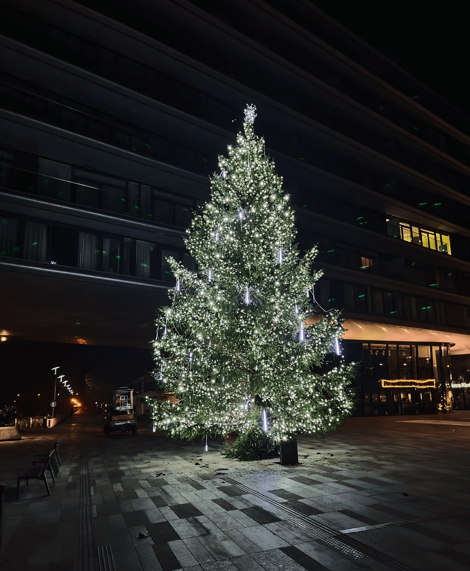 Vianočné osvetlenie záhrad a stromov