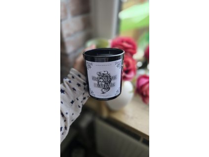 Obrázek WhatsApp, 2025 11 21 v 13.38.52 18f06fa2