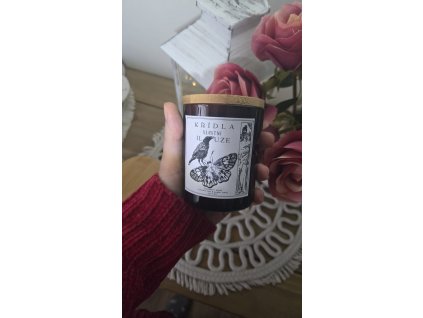 Obrázek WhatsApp, 2025 11 12 v 22.16.40 ab083b42