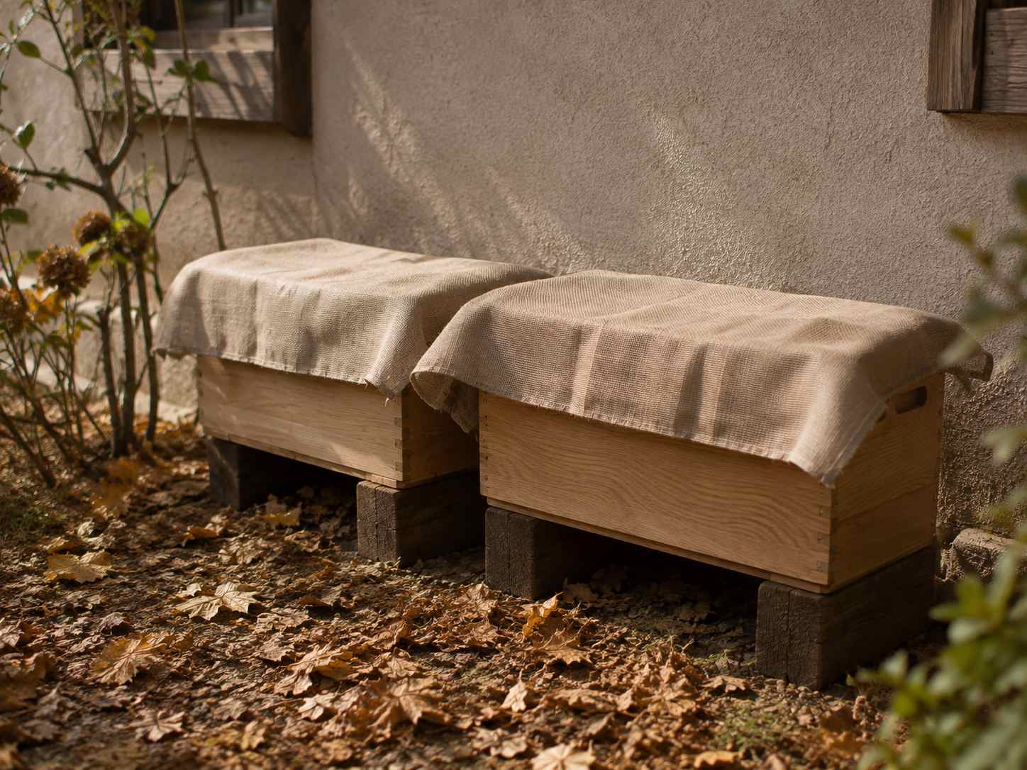 Zazimovaný truhlík