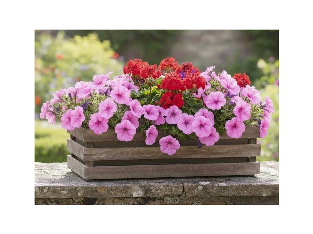 Dřevěný obal na truhlík tmavý 62 cm český výrobek