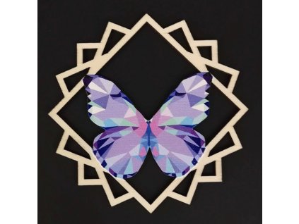 38606 Motýl fialový