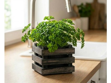 unnamed 2026 03 12T204634.114 (1)