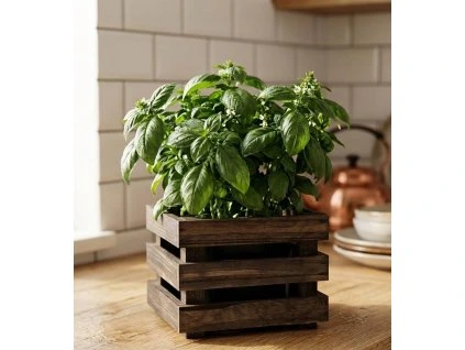 unnamed 2026 03 22T100854.170 (1)