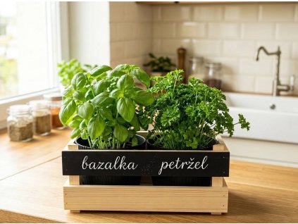 unnamed 2026 03 12T203030.388 (1)