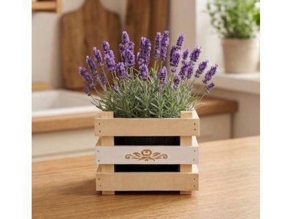 unnamed 2026 03 23T124212.364 (1)