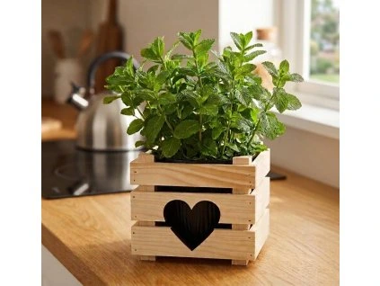 unnamed 2026 03 22T141316.771 (1)