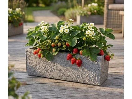 unnamed 2026 03 23T110446.349 (1)