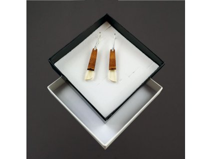 Wooden earrings made of clear resin - mix of colors