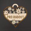Dřevěné srdce s textem "pro radost", 7 cm, topol překližka, chráněná dílna AMADEA